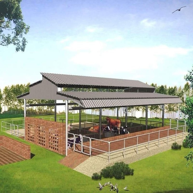 Steel structure poultry shed (3)