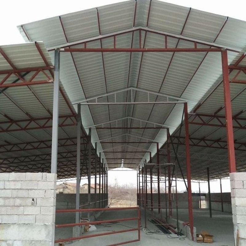 Steel structure poultry shed (6)